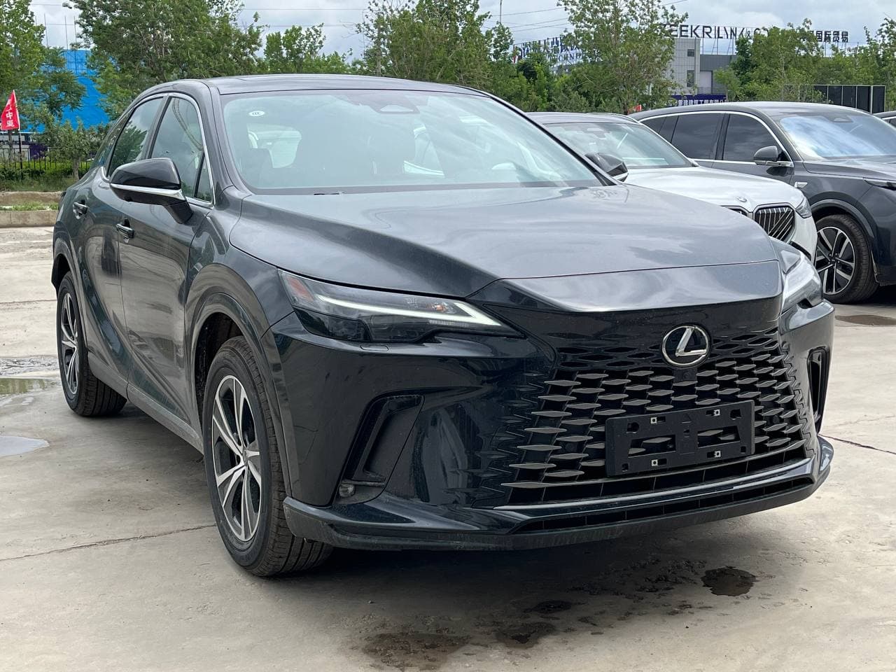 Lexus RX 300, 2025