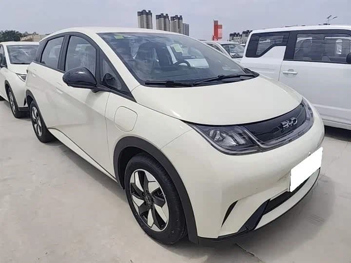 BYD Dolphin Surf, 2026