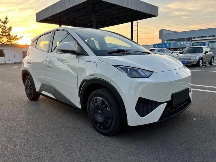 BYD Seagull, 2026