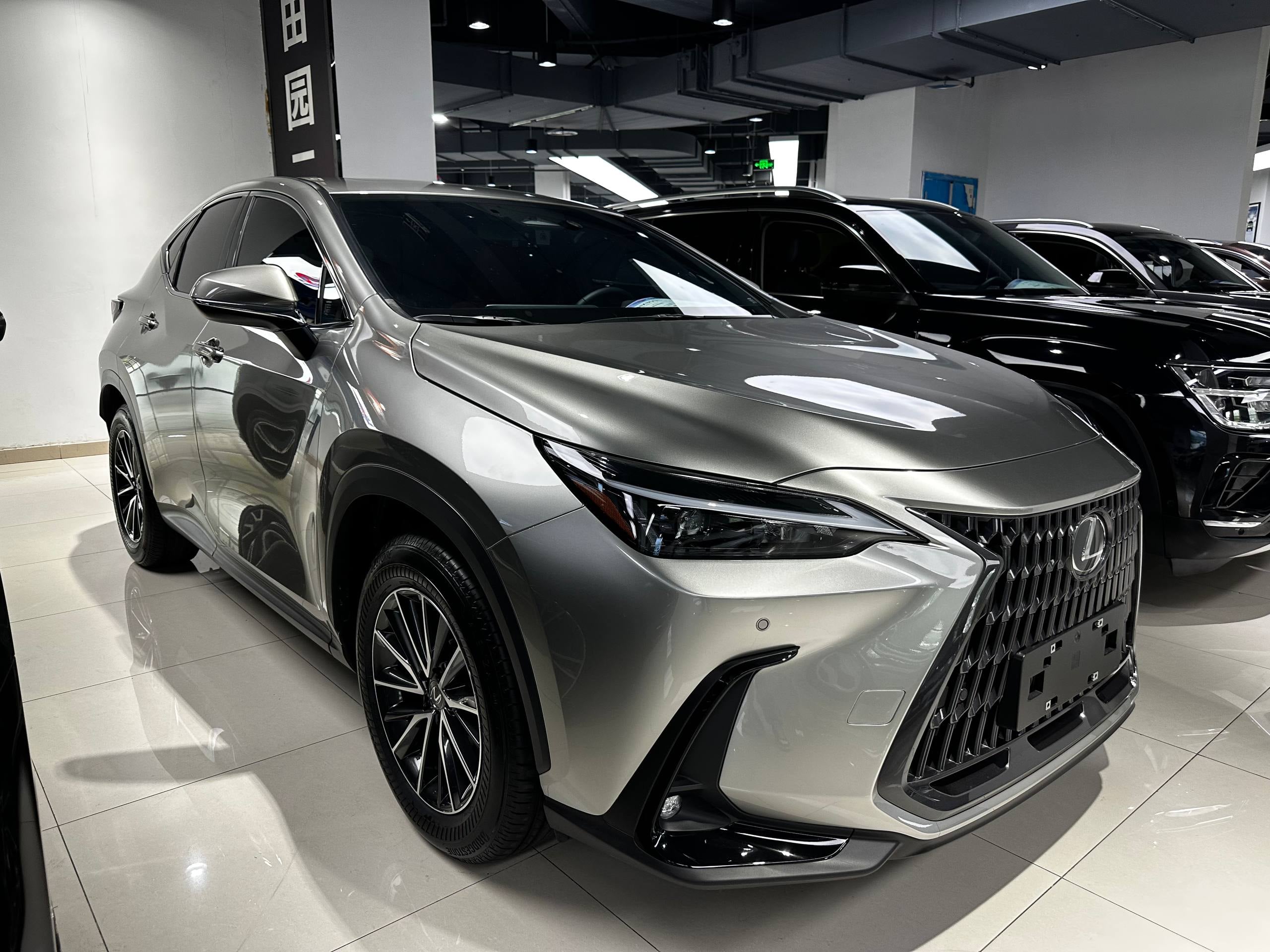 Lexus NX350h AWD, 2025 — фото 1