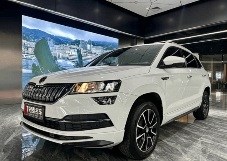 Skoda Karoq, 2024 — фото 1