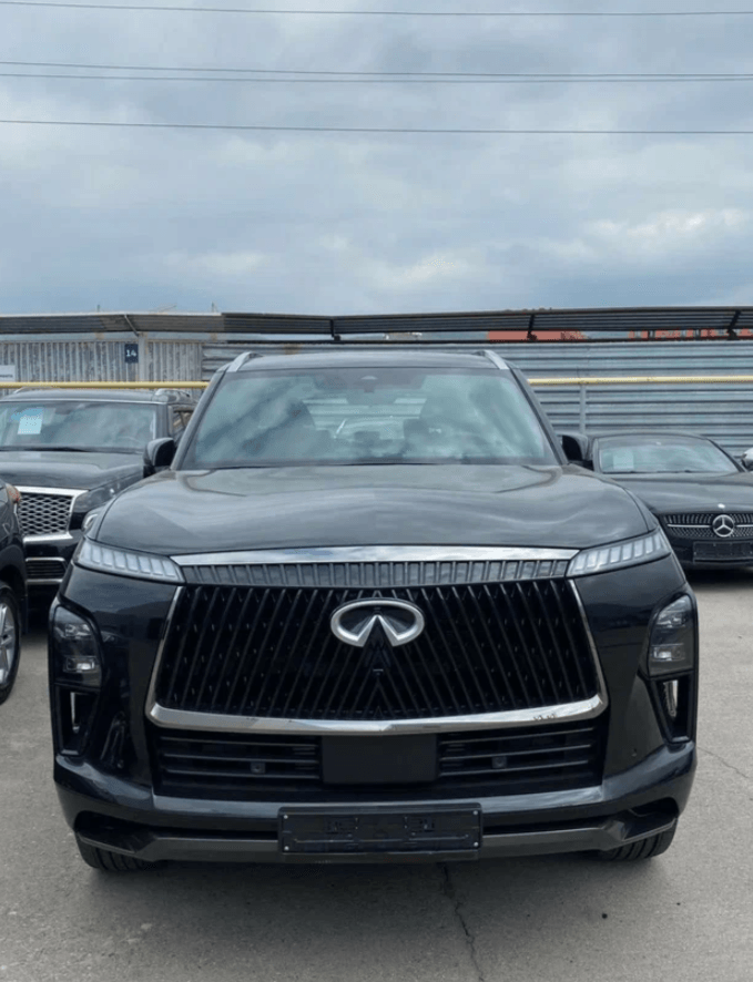 Infiniti QX80, 2025 — фото 1