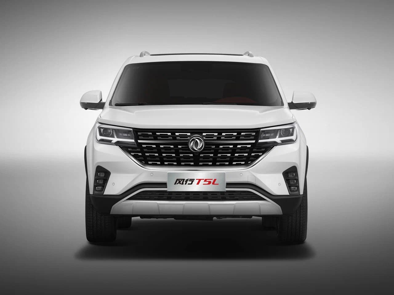 Dongfeng Forthing T5L, 2026