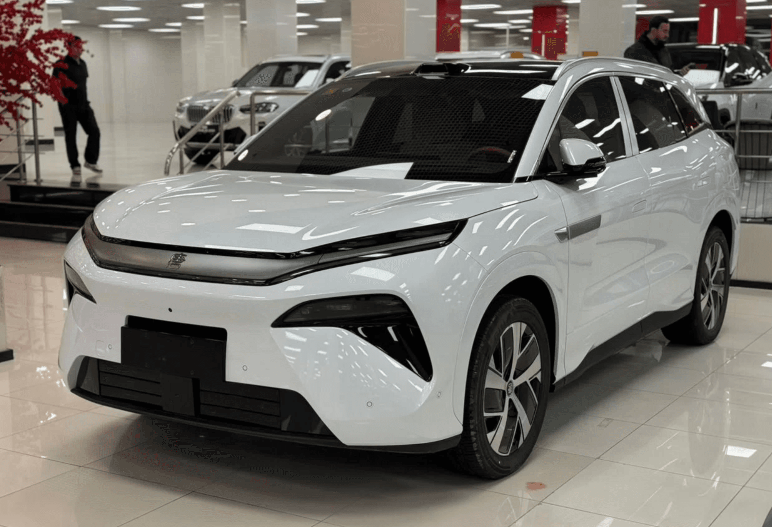 BYD Tang, 2026